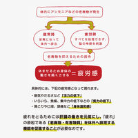 グロンサン内服液 20ml×10本 滋養強壮、肉体疲労時の栄養補給に【第3類医薬品】