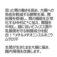 ザ・ガードコーワ整腸錠α3+ 550錠 興和　整腸剤 乳酸菌・納豆菌配合 下痢 軟便 ザガード【第3類医薬品】