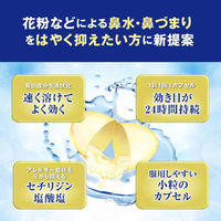 ストナリニZジェル 12カプセル 佐藤製薬　鼻炎薬 セチリジン塩酸塩 花粉などによる鼻水 くしゃみ【第2類医薬品】