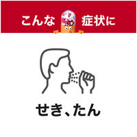 新コンタック せき止めダブル持続性 24カプセル Haleonジャパン せき たん 1日2回タイプ【第2類医薬品】