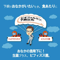ビオフェルミン下痢止め 30錠 大正製薬　腹痛を伴う下痢　消化不良による下痢 食あたり 水あたり はき下し くだり腹 軟便【第2類医薬品】