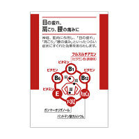 アリナミンEXプラス 120錠 アリナミン製薬 ビタミンB1 B6 B12 E　フルスルチアミン 眼精疲労 腰痛 肩こり【第3類医薬品】
