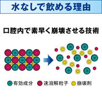 トメルミン 12錠 ライオン　水なしで飲める 眠気止め薬 眠気防止薬【第3類医薬品】