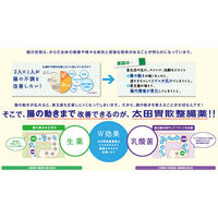 太田胃散整腸薬 160錠 太田胃散　おなかが弱い方に 軟便・便通を整える・便秘・腹部膨満感【第3類医薬品】