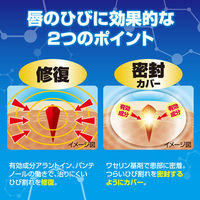 メンソレータム ヒビプロ LP 6g ロート製薬 ひび割れ 口唇炎 口角炎【第3類医薬品】