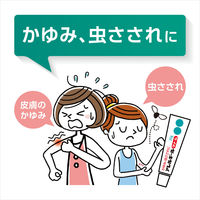 アレルギールクリーム 20g 第一三共ヘルスケア　かゆみ止め 塗り薬 かゆみ・虫さされに【指定第2類医薬品】