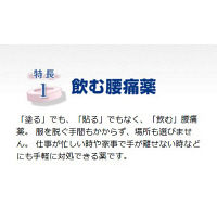 ラックル 12錠 日本臓器製薬  アセトアミノフェン単味製剤 腰痛 神経痛 頭痛 生理痛 歯痛【第2類医薬品】