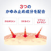 メンソレータム ADスプレー 100ml ロート製薬　かゆみ止め スプレータイプ 皮膚炎 カサつき かゆみ【第2類医薬品】