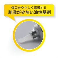 キシロA軟膏 10g 第一三共ヘルスケア 殺菌消毒薬 きり傷・すり傷・くつずれ・皮膚の殺菌消毒【第2類医薬品】