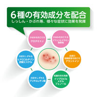 オイラックスA 20g 第一三共ヘルスケア　塗り薬 ステロイド・殺菌成分配合 湿疹・かぶれ・虫さされ・かゆみ【指定第2類医薬品】