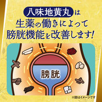 クラシエ八味地黄丸A 360錠 クラシエ薬品　漢方薬 頻尿 軽い尿漏れ 残尿感【第2類医薬品】