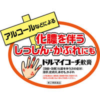 ドルマイコーチ軟膏 6g ゼリア新薬工業　塗り薬 抗生物質・ステロイド配合 化膿を伴う湿疹・皮膚炎・かぶれ【指定第2類医薬品】