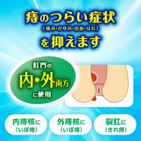プリザエース注入軟膏T 10個 大正製薬　ステロイド配合 痔 はれ かゆみ【指定第2類医薬品】