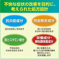アイリスAGクール 14ml 大正製薬 目薬 目のかゆみ 充血【第2類医薬品】