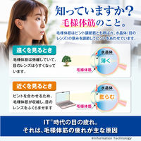 【アウトレット】アイリスネオ クール 14ml 大正製薬 目のかすみ 目のつかれ【第3類医薬品】