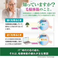 【アウトレット】アイリスネオ<ソフト> 14ml 大正製薬 目のかすみ 目のつかれ【第3類医薬品】