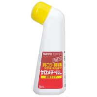 サロメチールL 80ml 佐藤製薬 肩こり 腰痛 関節痛 筋肉痛 温感タイプ【第3類医薬品】