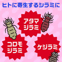 アースシラミとりシャンプー 100ml アース製薬　専用くし付き シラミ 駆除 フローラルの香り【第2類医薬品】