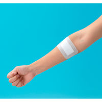 共和 粘着パッド No.100 YB-G100160 1箱（30枚入）