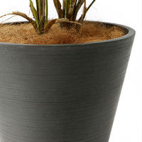 プリマ 人工樹木 パキラ グレープランター 1鉢（直送品）