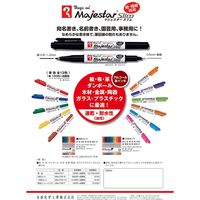 寺西化学工業 マジックインキ マジェスタースリム 12色セット MMJ70C-12 1個