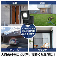 朝日電器 乾電池式センサーライト1灯 ESL-N111DC 1個