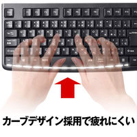 バッファロー USB接続 有線スタンダードキーボード ブラック BSKBU100BK 1台（直送品）