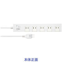 延長コード 電源タップ 2m 2P（ピン） 10個口 マグネット ライトグレー TAP-AS2-2 サンワサプライ 1個（直送品）