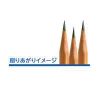 デビカ 電動シャープナーA-03N ブラック 043721