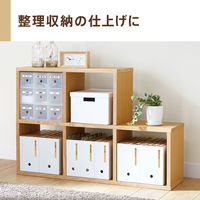 カシオ計算機　ネームランド　イーマ　KL-SP10　1台