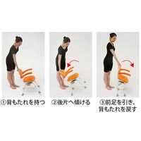 パナソニック エイジフリー シャワーチェア [ユクリア] ミドルSP回転おりたたみN オレンジ PN-L41221D 1個 451393
