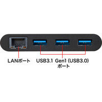 サンワサプライ LANアダプタ付きUSB Type-Cハブ USB-3TCH10BK 1個（直送品）