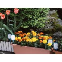 コンパル 花壇プレート SA 63088 1個