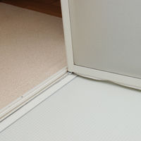 シリコンカビ取り（箱型） 80g 浴室 お風呂 浴槽 ゴムパッキン 洗剤 掃除 1個 日本ミラコン産業