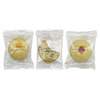 三越伊勢丹　東京會舘 プティガトー8種 36個入 TK-15 紙袋付 手土産ギフト　洋菓子　母の日　父の日　敬老の日