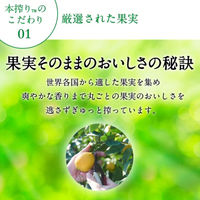 キリン　本搾りチューハイ　＜グレープフルーツ＞　500ml×24缶