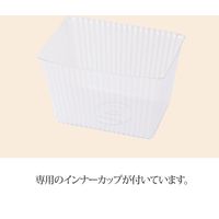 ヘッズ 迎春ペーパートレイ-黒金 GS-GTB 1セット（20枚：10枚×2パック）（直送品）