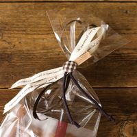 ヘッズ ワンタッチギフトタイ-ブラウン ONT-BT1 1セット(100個:20個×5パック)