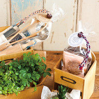 ヘッズ ワンタッチ組ひもタイ-1/トリコロール ONT-KT1 1セット（60個：6個×10パック）（直送品）