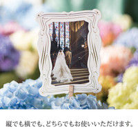 ヘッズ ペーパーフォトフレーム-1/ゴールドライン PFF-C1 1セット（100枚：20枚×5パック）（直送品）