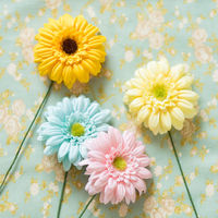 ヘッズガーベラフルリールーS/イエローー4 1セット（60本：12本×5パック）