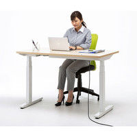 サンワサプライ 電動上下昇降デスク 薄い木目 幅1200×奥行700×高さ630～1280mm ERD-M12070LM 1台（直送品）