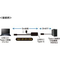 サンワサプライ 5m延長USB3.1 Type C-Type Cアクティブリピータ KB-USB-RCC305 1個（直送品）