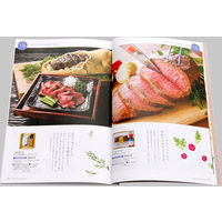 やさしいごちそう ヴィオラ YG18H-A00S-A（直送品）