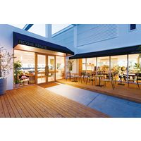 ホシフルーツ フルーツカステラ 9個 HFFK-9（直送品）