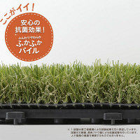 タカショー ふんわり人工芝 30×30 9枚セット BIP-D01/9S（直送品）