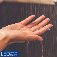 朝日電器 LED多目的灯 非接触 ALT-2090IR(D) 1個