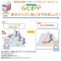 ライオンハイジーン プロバイオイージークリーン 10L 4903301213475 1箱