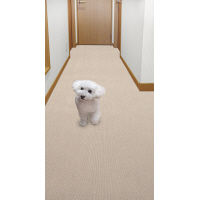 サンコー おくだけ吸着ロングマット90×800cm ベージュ KP-51（直送品）