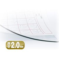 共栄プラスチック 下敷き オリオンズ 硬筆用 ソフト A4 透明 NO.1204 1セット（2枚）